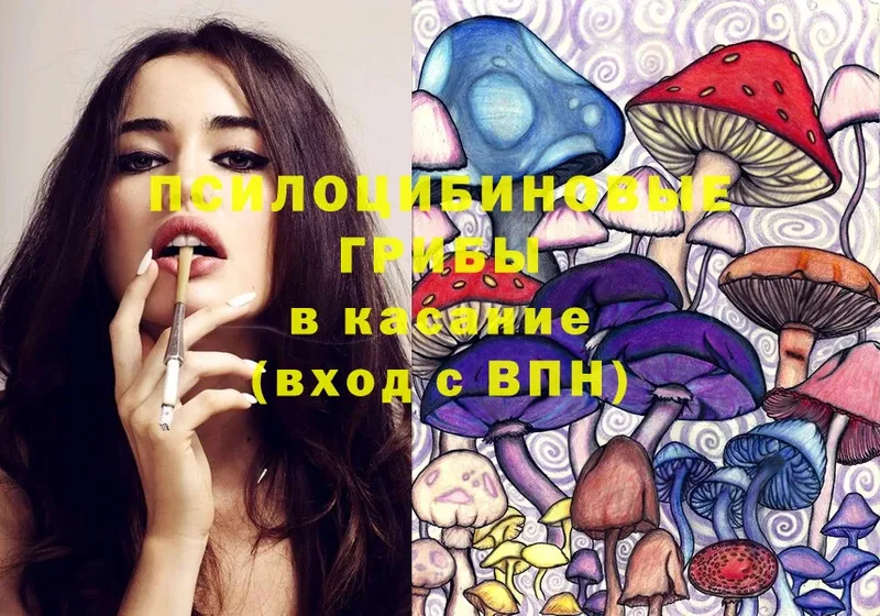 Псилоцибиновые грибы MAGIC MUSHROOMS  как найти закладки  Бугуруслан 